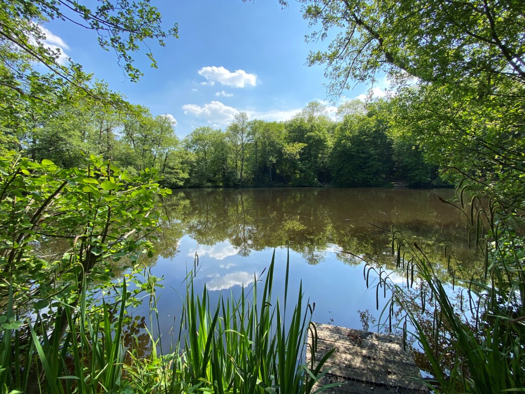 General Hook Lake Information