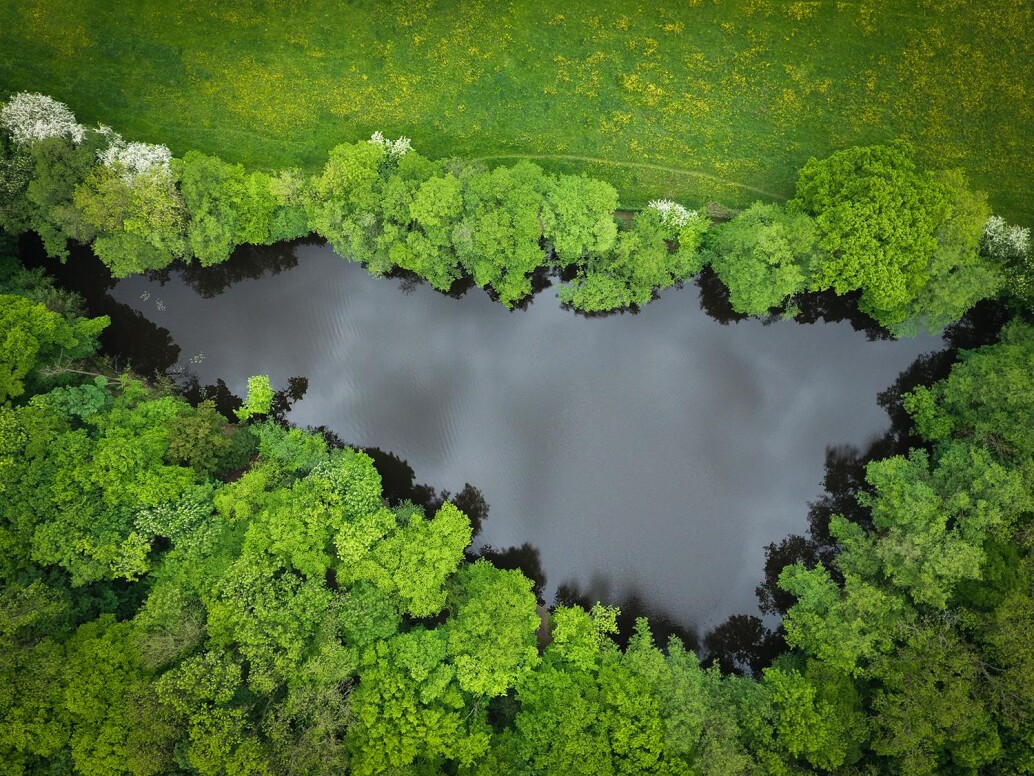 The swims of Hook Lake | Drone Photo