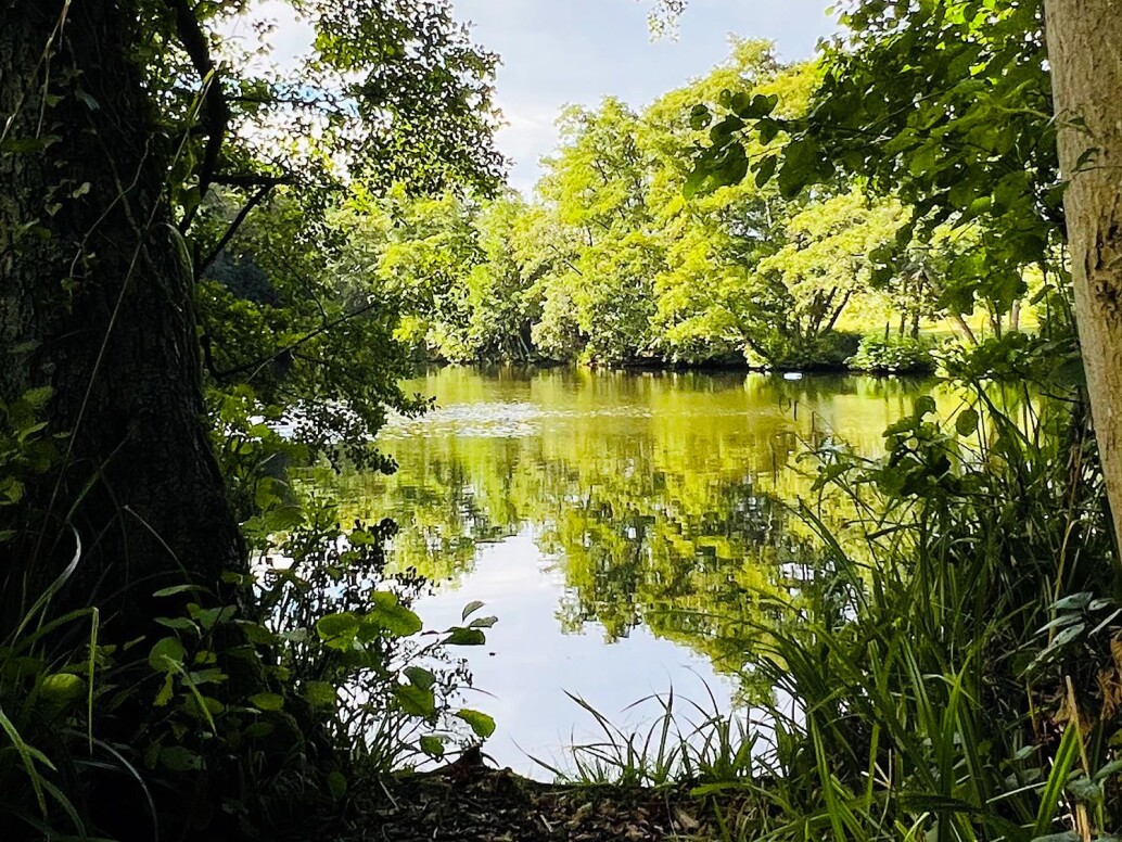 Two Up Swim on the Hook Lake Carp Syndicate