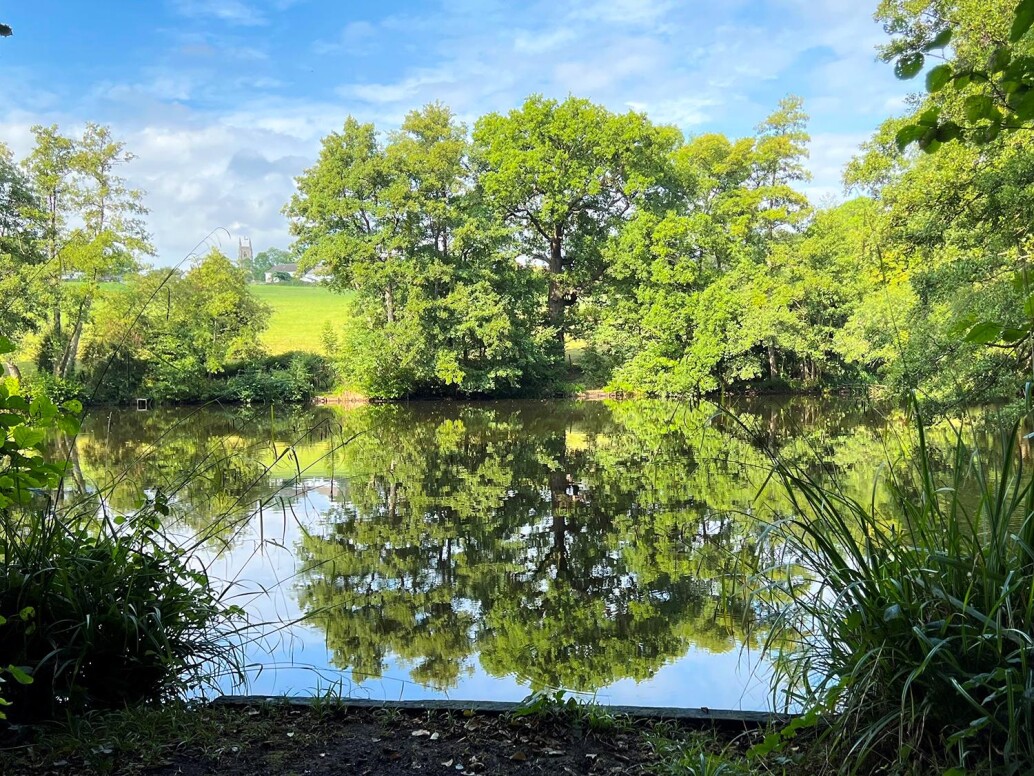 The Pads Swim Hook Lake