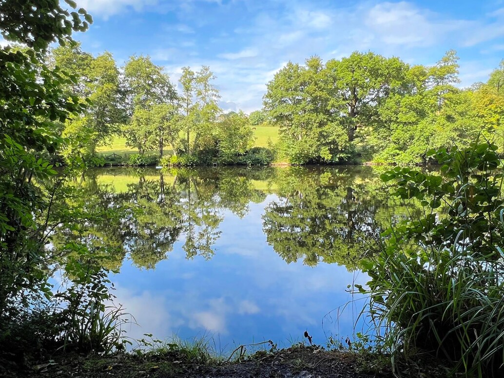 Stan's Swim Hook Lake